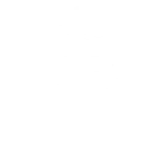 triton logo